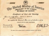 mining-certificate-for-harvey-saunders-img827